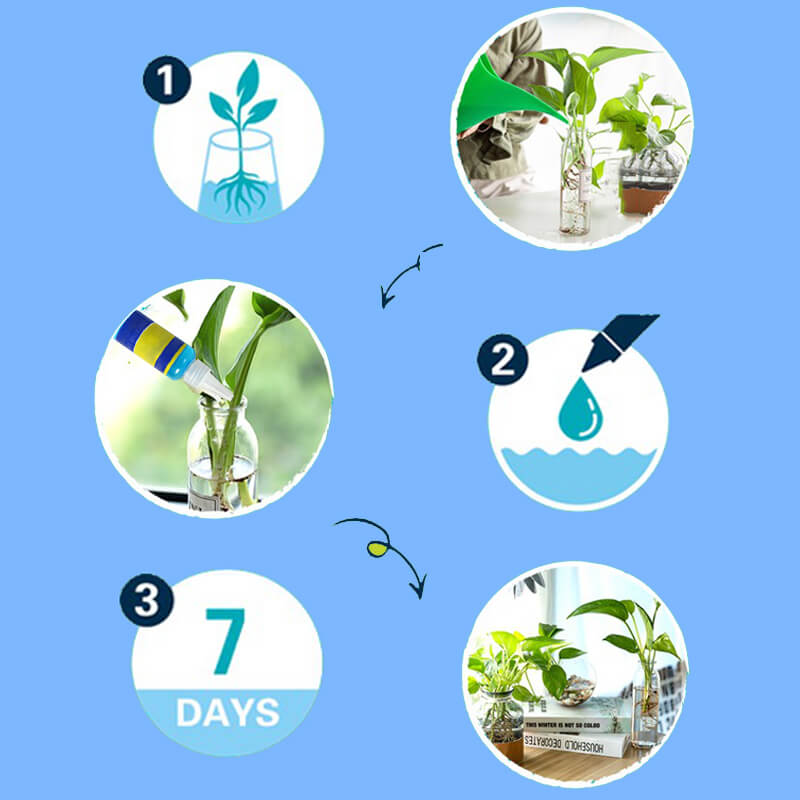 🌱Ammattimainen ravintoratkaisu kukkiville ruukkukasveille🍀