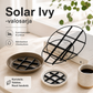 ☀️ Solar Ivy -valosarja – vedenkestävä, 8 valotilaa ja joustava, sopii puutarhan, parvekkeen ja seinien koristeluun