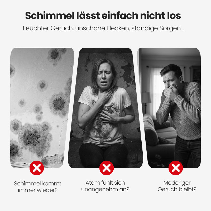 🔥AKTION 2026🔥 Hochwirksames Schimmel-Entfernungs-Spray - Verhindert erneutes Schimmelwachstum 🚫🍄