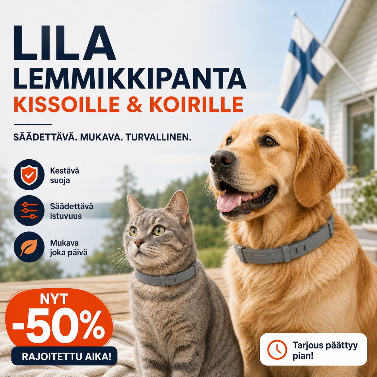 ⏰ 50 % alennus rajoitetun ajan – nopeimmat ehtivät! Lila lemmikkipanta kissoille ja koirille 🐾