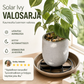☀️ Solar Ivy -valosarja – vedenkestävä, 8 valotilaa ja joustava, sopii puutarhan, parvekkeen ja seinien koristeluun