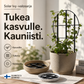 ☀️ Solar Ivy -valosarja – vedenkestävä, 8 valotilaa ja joustava, sopii puutarhan, parvekkeen ja seinien koristeluun