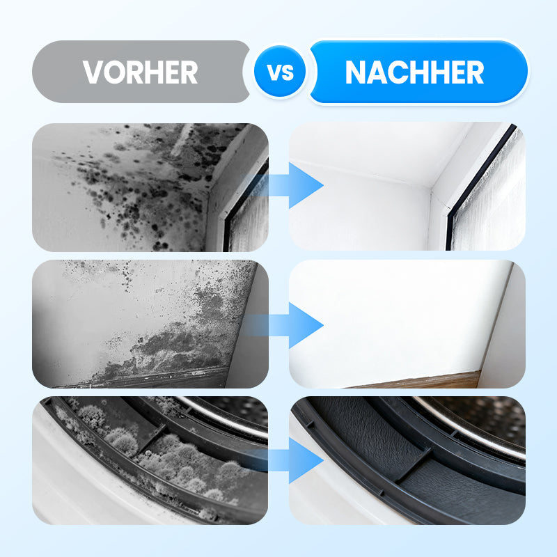 🔥AKTION 2026🔥 Hochwirksames Schimmel-Entfernungs-Spray - Verhindert erneutes Schimmelwachstum 🚫🍄