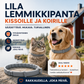 ⏰ 50 % alennus rajoitetun ajan – nopeimmat ehtivät! Lila lemmikkipanta kissoille ja koirille 🐾