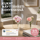 ⏳Aikarajoitettu tarjous⏰Valokuvakehyksen muotoinen kirkas kukkamaljakko – pohjoismainen tyyli, akryyli, pöytäkoriste ✨.