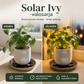 ☀️ Solar Ivy -valosarja – vedenkestävä, 8 valotilaa ja joustava, sopii puutarhan, parvekkeen ja seinien koristeluun