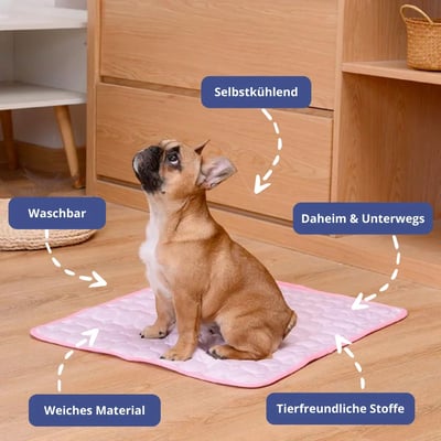 🐶 50 %:n alennus 🐱 Lemmikkieläimille tarkoitettu viilentävä patja, jossa on myrkytöntä viilentävää geeliä