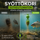 🔥Kuuma tarjous 50 % ALENNUS🔥 Älä enää tuhlaa aikaa siiman selvittelyyn kesken heiton! Takertumaton alhaalta ylöspäin avautuva syöttökori – painotettu pohja, pysyy pystyssä, syöttipilvi 3 sekunnissa 🎣