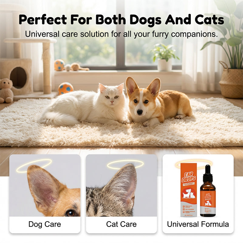 🐶🐱Luonnolliset korvatipat koirille ja kissoille kutinaan ja korvavahan kertymiseen