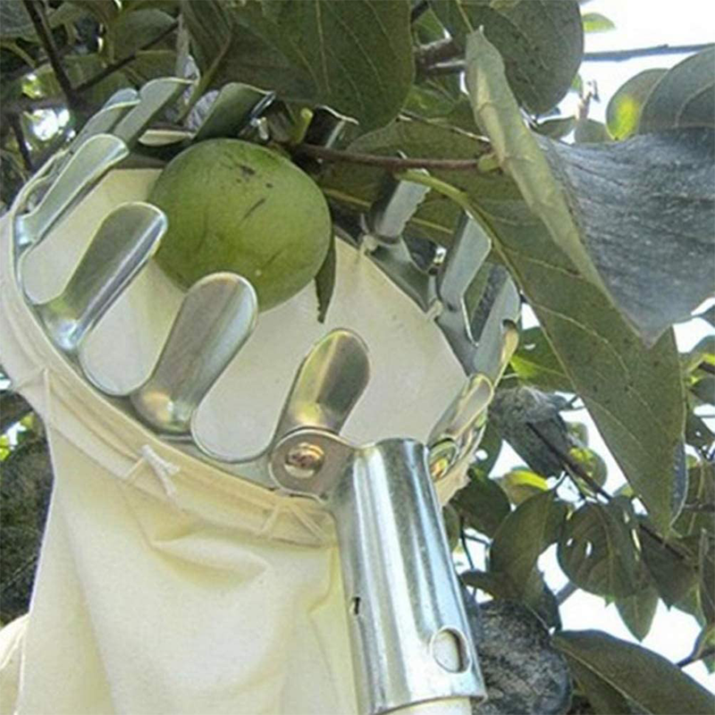 📢📢 50% ALENNUS !! ⏰ Hedelmänpoimintapää-kori – kestävä muotoilu, helppo kiinnittää ja täydellinen korkeiden oksien ylettymiseen ilman tikkaita! 🌳