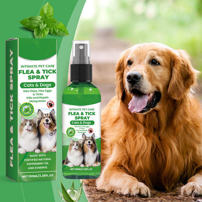 🍃Luonnollinen kirppu- ja punkkisuihke koirille ja kissoille🐾 Suojaa rakas lemmikkisi tuholaisilta