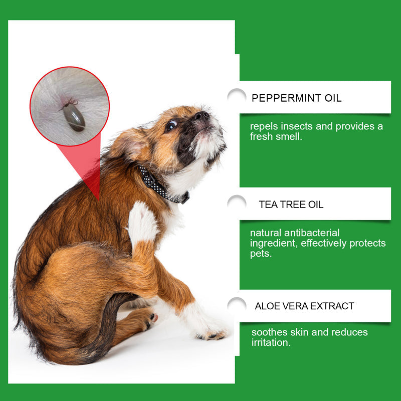 🍃Luonnollinen kirppu- ja punkkisuihke koirille ja kissoille🐾 Suojaa rakas lemmikkisi tuholaisilta