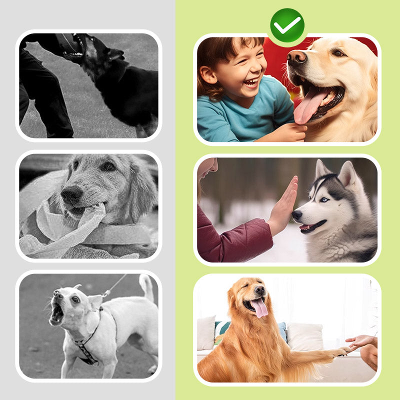 🌠Hiljainen kumppani: 🐶Ultraäänikarkotin koirille – ratkaise haukkumisongelmat lopullisesti!