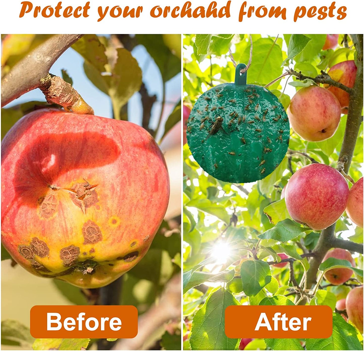 🔥Last Day Promotion - 50% OFF🔥Hanging Environmental Fruit Fly Traps Sticky Traps-BUY 1 GET 1 FREE