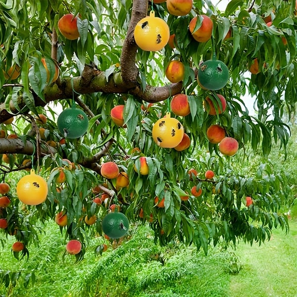 🔥Last Day Promotion - 50% OFF🔥Hanging Environmental Fruit Fly Traps Sticky Traps-BUY 1 GET 1 FREE