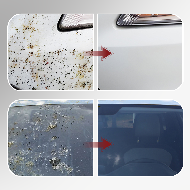Tehokas hyönteisten ja ötököiden poistaja autoon