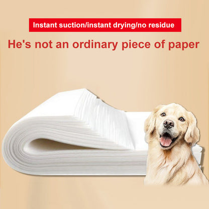 Koiran virtsaa imevä paperi